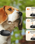 Remote-Controlled Dog Training Collar – Waterproof, 16 Shock Levels, 1000m Range, with Beep & Vibration Modes