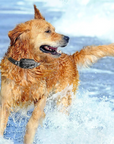 Remote-Controlled Dog Training Collar – Waterproof, 16 Shock Levels, 1000m Range, with Beep & Vibration Modes