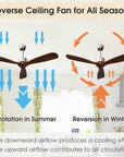 52 Inch Modern Brushed Nickel Finish Ceiling Fan with Remote Control 3