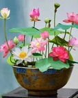 AquaGarden | Vibrant Premium Bonsai Lotus Seeds for Stunning Water Features 0
