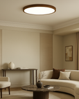 Aurivra | Modern Ceiling Lamp with Dark Wood Grain 2