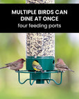 AviaryGuard | Durable Squirrel-Proof Hanging Bird Feeder 4