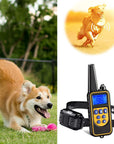 BarkCommand | Remote Dog Training Collar – Waterproof & Rechargeable Design 1