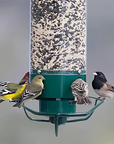 Bird Feeder | Squirrel-Proof Hanging Seed Feeder Outdoor 2