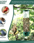 Bird Feeder | Squirrel-Proof Hanging Seed Feeder Outdoor 5