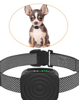 CalmiPup | Anti-Bark Dog Collar for Small Breeds and Gentle Training 2