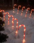 CandyCaneLuxe | Waterproof LED Christmas Lights 0