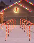 CandyCaneLuxe | Waterproof LED Christmas Lights 1