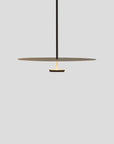 Contemporary Arc Ceiling Lamp – Elegant Ring Design Ceiling Light Fixture for Dining Room and Modern Home Decor 8