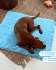 Cooling Mat for Dogs 3