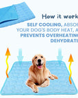 Cooling Mat for Dogs 5