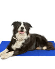 Cooling Mats for Pets 1