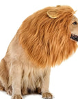 Dog Realistic Lion Mane Halloween Costume | Adjustable Lightweight 0