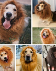 Dog Realistic Lion Mane Halloween Costume | Adjustable Lightweight 3
