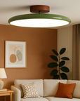 DriftGlow | Adjustable Ceiling Lamp for Convinient Living 1