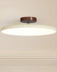 DriftGlow | Adjustable Ceiling Lamp for Convinient Living 6