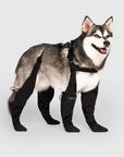 Durable Dog Boots | Waterproof All-Weather Boots for Snow, Rain & Outdoor Adventures 0