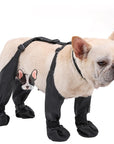 Durable Dog Boots | Waterproof All-Weather Boots for Snow, Rain & Outdoor Adventures 2