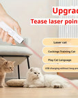 FelineBeam | Interactive Eco-Friendly Rechargeable Cat Laser Toy 1