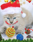 FelineFest | Engaging Interactive Cat Advent Calendar with Toys 2
