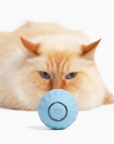 FelineMotion | Engaging Interactive Self-Rolling Cat Toy 3