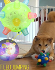 FetchBright | Light-Up Rubber Ball for Active Nighttime Dog Play 6