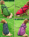 FurGuard | Weatherproof Dog Coat with Integrated Harness and Warm Protective Lining 3