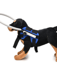 GuidePaw | Dog Harness with Bumper Ring for Safe Walking Control 0