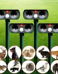 Infrared Solar Powered Animal Pest Repeller (1 Repeller) 1
