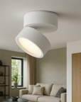 Lumary | Timless (2 pack) Surface Ceiling Lamp 2