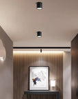 Lumary | Timless (2 pack) Surface Ceiling Lamp 7