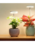 Lumosphere | Versatile Full Spectrum LED Grow Light for Indoor Plants 0