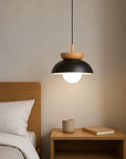 Luxentis | Modern Swedish Style Hanging Lamp 1