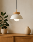 Luxentis | Modern Swedish Style Hanging Lamp 4
