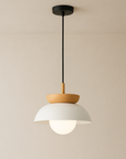 Luxentis | Modern Swedish Style Hanging Lamp 7