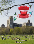 NectarHaven | Vibrant Ant-Proof Hanging Bird Feeder for Hummingbirds 1