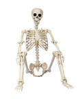 170 cm Life-Size Halloween Skeleton – Posable Outdoor Decoration for a Spooky Yard