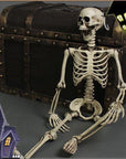 170 cm Life-Size Halloween Skeleton – Posable Outdoor Decoration for a Spooky Yard