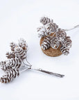 Pine Splendor | Luxury Decorative Branches for the Holidays 5