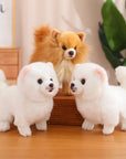 Premium Plush Pomeranian Stuffed Animal – Soft Realistic Dog Plushies for Kids, 12 Inches Tall 0