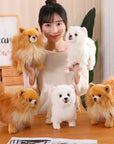 Premium Plush Pomeranian Stuffed Animal – Soft Realistic Dog Plushies for Kids, 12 Inches Tall 2