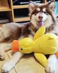 QuackMate | Interactive Plush Duck Dog Toy with Quacking Sound 1