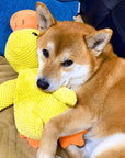 QuackMate | Interactive Plush Duck Dog Toy with Quacking Sound 4