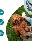 Quietpaw - Adjustable Anti Bark Collar for Dogs - Humane Bark Control Device 2