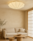 Rayora | Luxurious Ceiling Lamp for Home Living 4