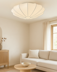 Rayora | Luxurious Ceiling Lamp for Home Living 7