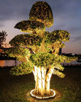 Soliquea | Decorative Outdoor Spotlight for Garden Tree 1