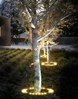 Soliquea | Decorative Outdoor Spotlight for Garden Tree 2