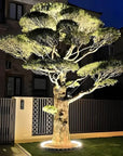 Soliquea | Decorative Outdoor Spotlight for Garden Tree 3