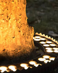 Soliquea | Decorative Outdoor Spotlight for Garden Tree 4